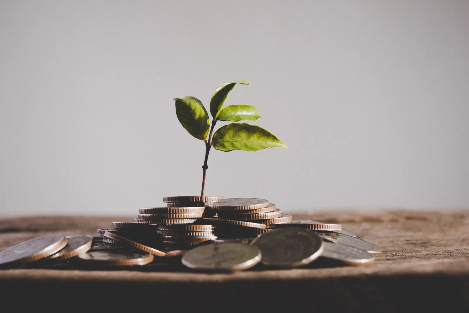 KOSGEB Digital-Transformation Grants: How to Claim Up to TL 200,000 for ERP Investment